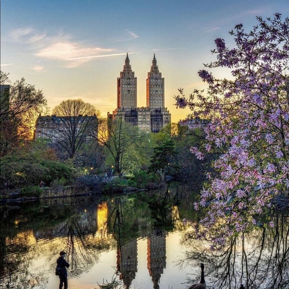 Meet your Posher, Ashley - Picture 1 of 1